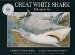 Great White Shark cover