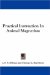 Practical Instruction in Animal Magnetism cover