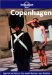 Lonely Planet Copenhagen cover