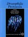 Drosophila Protocols cover
