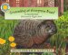 Groundhog at Evergreen Road cover