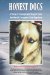 Honest Dogs : A Story of Triumph and Regret from the World's Greatest Sled Dog Race cover