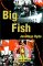 Big Fish cover