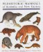 Prehistoric Mammals of Australia and New Guinea : One Hundred Million Years of Evolution cover