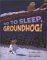 Go To Sleep, Groundhog! cover