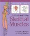 An Illustrated Atlas Of The Skeletal Muscles cover