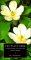 The Plant-Book: A Portable Dictionary of the Vascular Plants