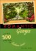 Romantic Georgia cover