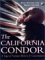 The California Condor: A Saga of Natural History and Conservation