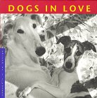 Dogs in Love [Click for larger image]