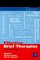  Effective Brief Therapies: A Clinician's Guide