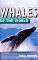 Whales of the World