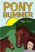 Pony Summer cover