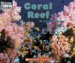  Coral Reef