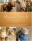 The Holistic Animal Handbook : A Guidebook To Nutrition, Health, And Communication cover