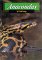  Anacondas