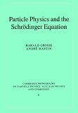 Particle Physics And the Schrdinger Equation [Click for larger image]