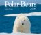 Polar Bears 2004 Calendar cover
