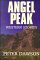 Angel Peak cover