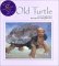Old Turtle cover