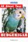 All About Your Budgerigar cover