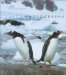 Nature Photography : Learning from a Master  With 300 Dazzling Color Photographs cover