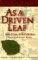 As a Driven Leaf cover