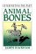Animal Bones cover
