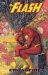 The Flash : The Secret of Barry Allen cover