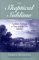 The Skeptical Sublime : Aesthetic Ideology in Pope and the Tory Satirists cover