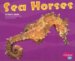  Sea Horses