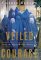 Veiled Courage : Inside the Afghan Women's Resistance cover