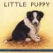  Little Puppy