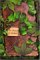 The Valley Of Secrets cover