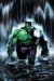 Hulk : The End Premiere cover