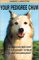 Your Pedigree Chum cover