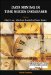 Data Mining In Time Series Databases cover