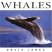 Whales cover