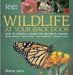  Wildlife At Your Back Door: How To Create A Haven For Nature's Friends