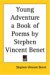 Young Adventure a Book of Poems by Stephen Vincent Benet cover