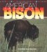 American Bison cover