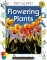  Flowering Plants