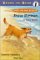 Brave Norman : A True Story cover