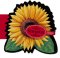The Magnetic Sunflower cover