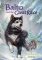 Balto and the Great Race cover