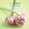 The Garlic Cookbook : The Essence of the Mediterranean cover