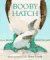 Booby Hatch cover