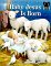 Baby Jesus Is Born cover