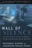 Wall of Silence : The Untold Story of the Medical Mistakes That Kill and Injure Millions of Americans [Click for larger image]
