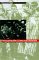 Prosecuting War Crimes and Genocide : The Twentieth-Century Experience cover